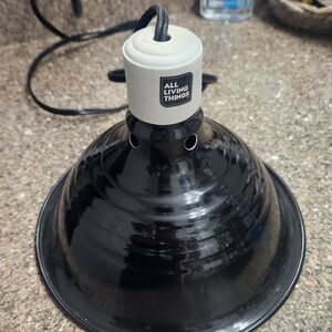 Reptile Heating Lamp